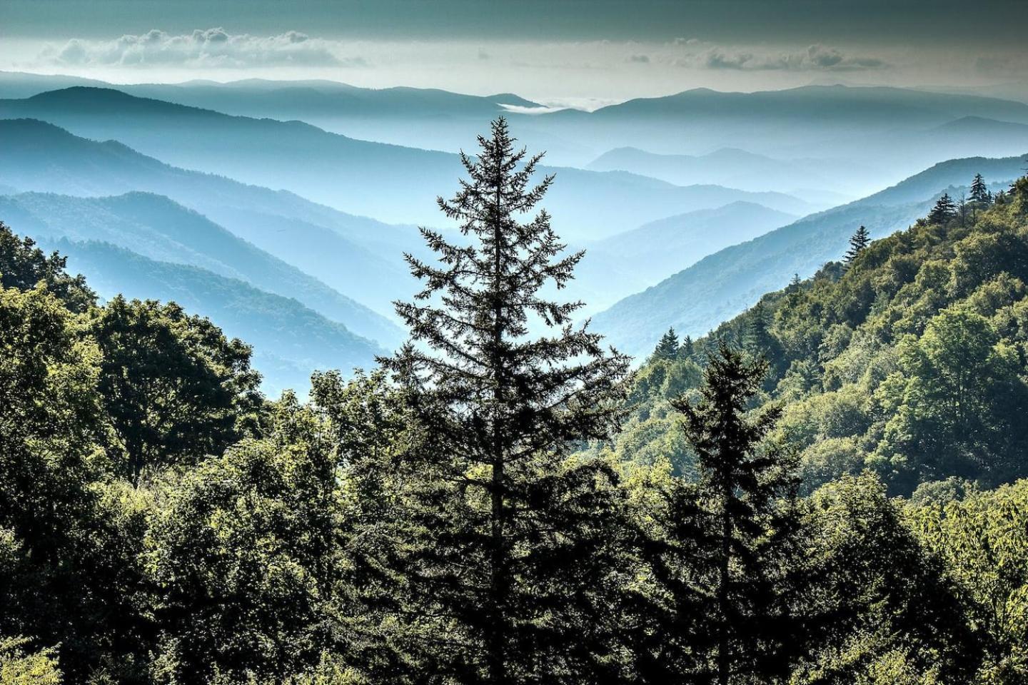 Views I Mins To Dollywood I Hot Tub I Pool Table Villa Sevierville Bagian luar foto